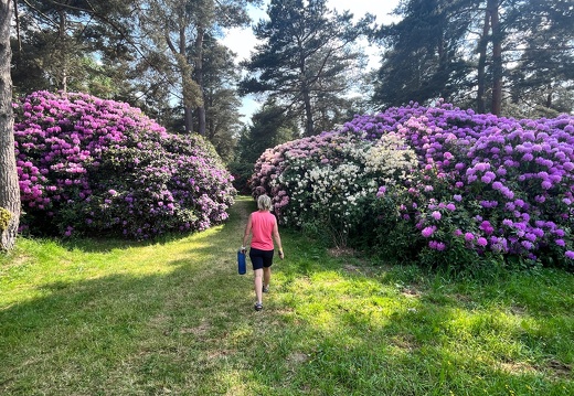 23-06-03 16-34-10 5781